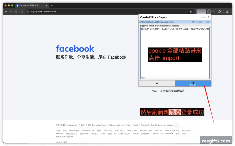 导入后 Cookie 列表中出现 c_user 与 xs