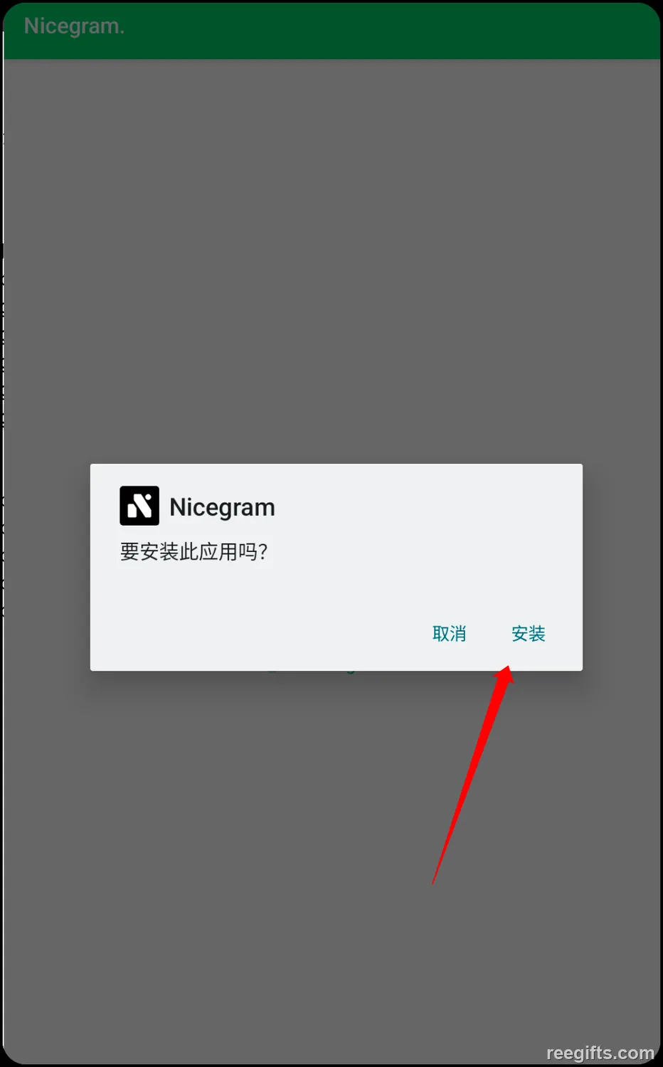 系统的 Nicegram 安装确认弹窗