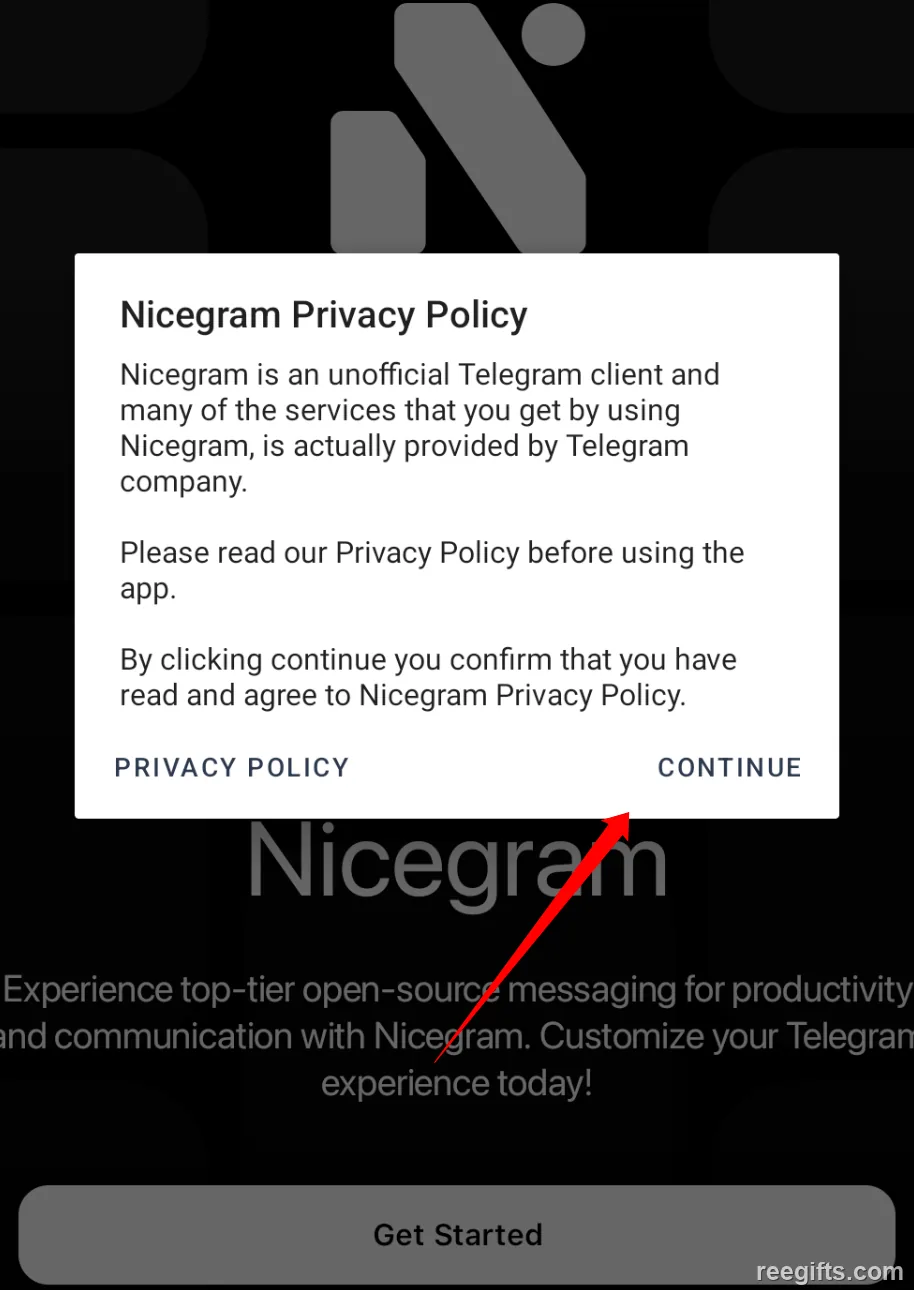 Nicegram 首次启动的隐私政策弹窗
