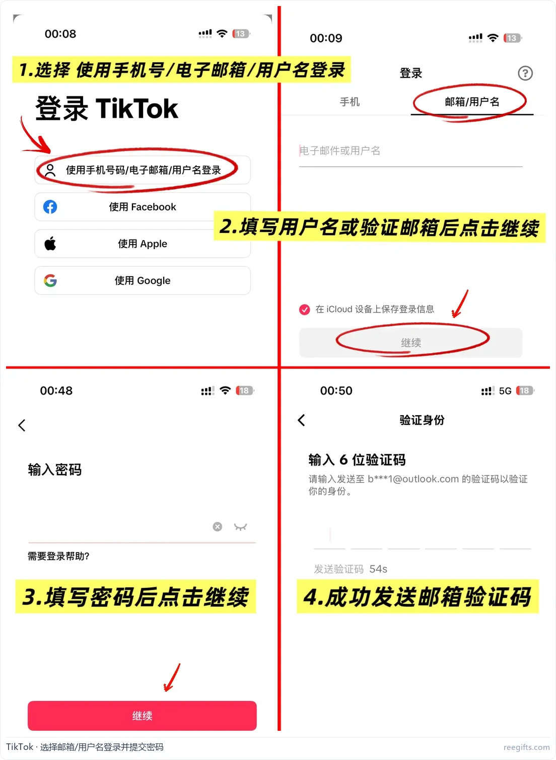 TikTok 登录页:选择邮箱/用户名登录并提交密码