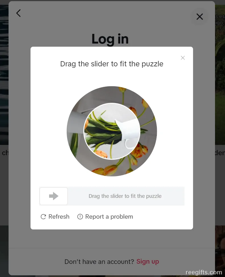 TikTok 登录时的拼图滑块验证