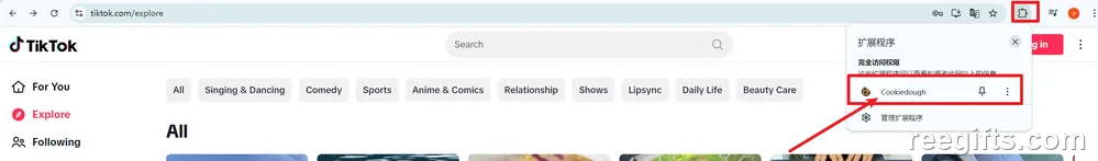 tiktok.com 页面与浏览器工具栏上的插件图标