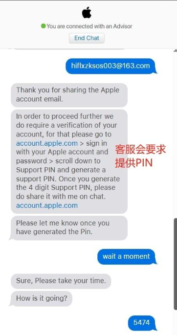 Apple Support Pin Requested