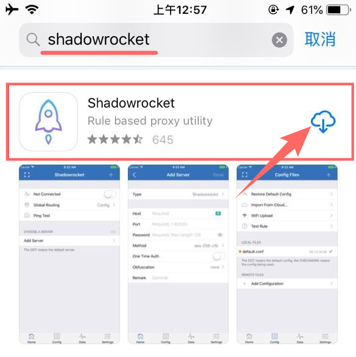 下载Shadowrocket应用步骤