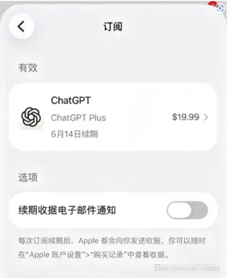 ChatGPT Plus订阅激活成功状态